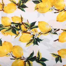 Load image into Gallery viewer, Lemon Printed Cotton Poplin Cloth
